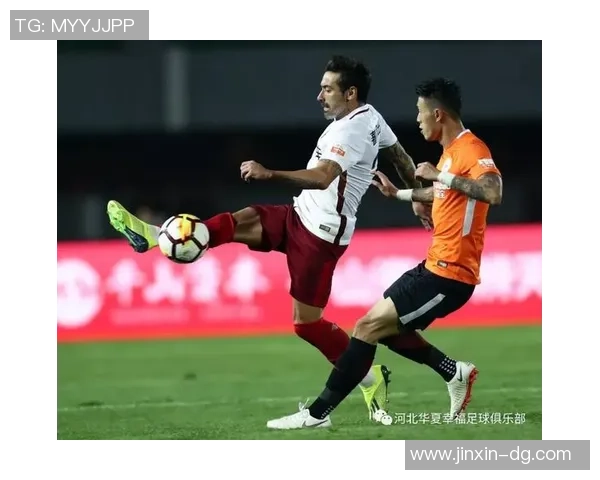 北京乒乓球队耐力表现数据分析揭示训练效果与竞技水平的关系 北京乒乓球队耐力表现数据分析揭示训练效果与竞技水平的关系