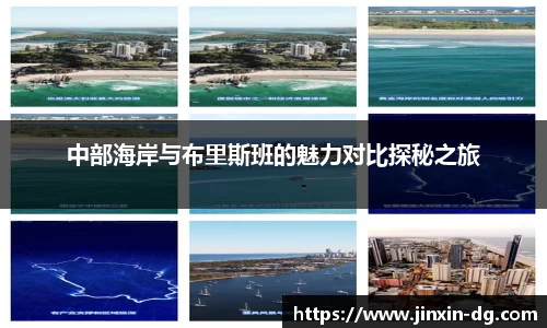 3377体育平台